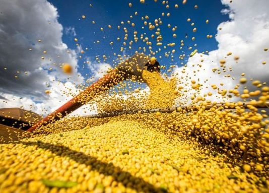 Agronegócio goiano atinge US$ 1,1 bilhão em exportações em abril Agro_Goiano_tendas_elshaddai_noticias