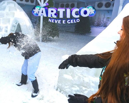 ÁRTICO – BRASÍLIA ÁRTICO BRASÍLIA