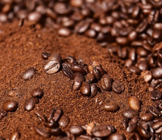 Expocafé 2024 Expocafé 2024