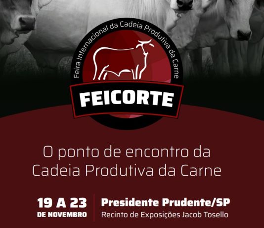 Feicorte 2024 FEICORTE 2024