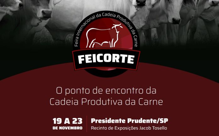 FEICORTE 2024