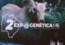 Expogenética MS 2025 Expogenética MS 2025