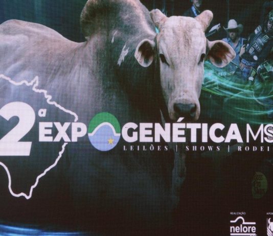 Expogenética MS 2025 Expogenética MS 2025