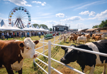 Exposição Agropecuária de Goiânia 2026 Exposição Agropecuária de Goiânia 2026