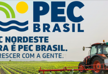 PEC Brasil 2026: Guia Completo do Evento Agro Visitantes e expositores na PEC Brasil 2026 durante feira do agronegócio com exposição pecuária, tecnologia e networking