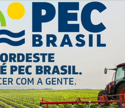 PEC Brasil 2026: Guia Completo do Evento Agro Visitantes e expositores na PEC Brasil 2026 durante feira do agronegócio com exposição pecuária, tecnologia e networking