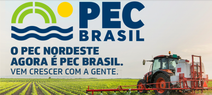 PEC Brasil 2026 Visitantes e expositores na PEC Brasil 2026 durante feira do agronegócio com exposição pecuária, tecnologia e networking
