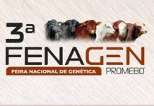 FENAGEM 2026 O cenário de feiras e grandes encontros de negócios ganha um forte impulso com a realização da FENAGEM 2026.