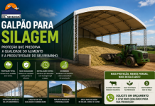 Galpão para Silagem: Proteção Ideal para Conservar a Qualidade da Alimentação Animal Galpão para silagem com estrutura metálica e cobertura em lona PVC protegendo silagem de milho e outros alimentos para o rebanho em uma fazenda.